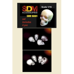 Dan Models SDM 16001 - 1/16 Human skull. Set includes 4 pices, scale kit