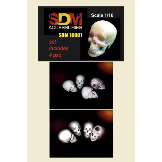 Dan Models SDM 16001 - 1/16 Human skull. Set includes 4 pices, scale kit