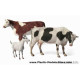 Domestic Animals. Cows 1/35 Master Box 3566