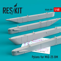 Reskit RS48-0299 - 1/48 Pylons for aircraft MiG-25 BM, scale model kit