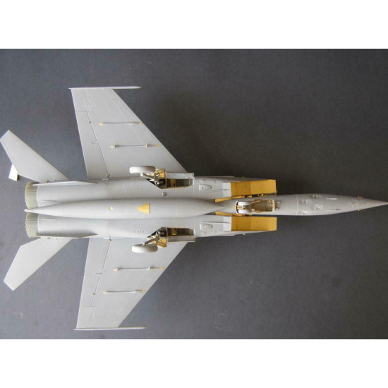 Metallic Details MD4823 - 1/48 - Detailing set for aircraft MiG-25. Exterior