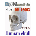 Dan Models 16003 - 1/16 Human skulls. 4 things, scale plastic model kit