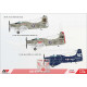 Aa Models 7228 1/72 Ad5w Skyraider Attack Aircraft Model Kit