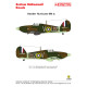 Techmod 24003 1/24 Hawker Hurricane Mk I Raf Polish Fighter Wet Decal