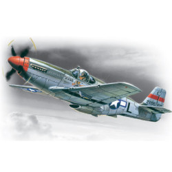 American P-51 Mustang Fighter 1/48 ICM 48121