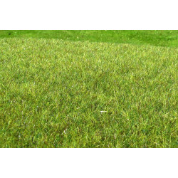 Model Scene F011 Wetland Middle The Grass 18/28 Cm Diorama Upgrade Accessories