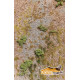 Model Scene F330 Afghanistan Rocky Terrain 18/28 Cm Diorama Upgrade Accessories Model Scene F330 Afghanistan Rocky Terrain 18/28 Cm Diorama Upgrade Accessories