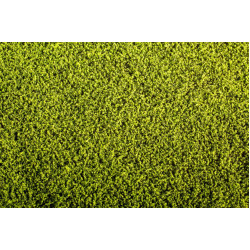 Model Scene F440 1/72 - 1/160 Alfalfa Grass Mats Agro-line 18/28 Cm Accessories For Diorama