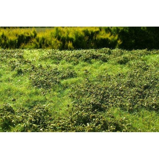 Model Scene F501 Meadow With Low Bushes Spring 18/28 Cm Accessories For Diorama Model Scene F501 Meadow With Low Bushes Spring 18/28 Cm Accessories For Diorama