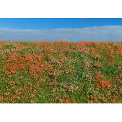 Model Scene F565 Blooming Meadow Poppies 18/28 Cm Diorama Upgrade Accessories