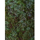 Model Scene F620 Forest Base Blueberries 18/28 Cm Diorama Upgrade Accessories