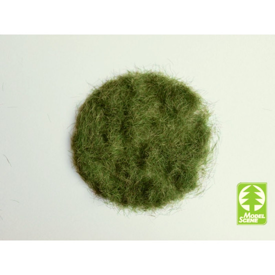 Model Scene 004-03 Grass-flock 4 5 Mm Early Summer 50g Diorama Accessories