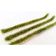 Model Scene 058-43s Long Grass Strips Late Summer Diorama Upgrade Accessories