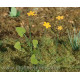 Model Scene Vg3-003 1/32-1/35 Marsh Marigold Diorama Upgrade Accessories