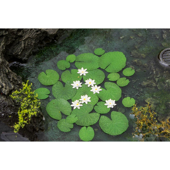 Model Scene Vg3-026 1/32-1/35 Waterlily Diorama Upgrade Accessories