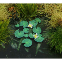 Model Scene Vg7-226 1/72-1/87 Waterlily Diorama Accessories Photo-etched Parts