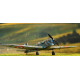 Sbs 7014 1/72 Caudron C.600 Aiglon Armee De Lair Full Kit Resin Model Kit