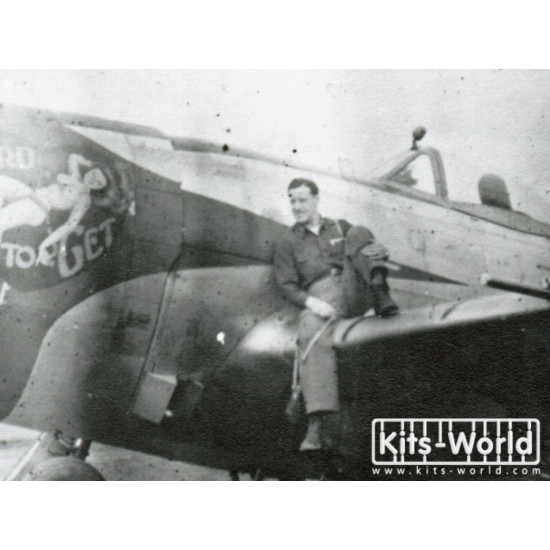 Kits World Kw148057 1/48 Decal For P-47d S 368th Fg 397th Fighter Squadron