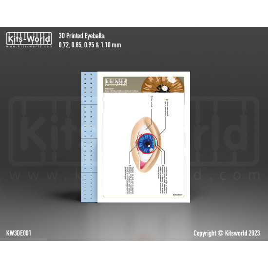 Kits World Kw3de001 Human Eyeballs 0.72mm 0.85mm 0.95mm 1.10mm 42 Pairs