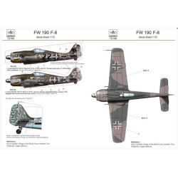 Had Models 72106 1/72 Decal For Fw 190 F-8 Accessories For Aircraft