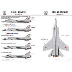Had Models 48166 1/48 Decal Mig-31 Accessories For Aircraft