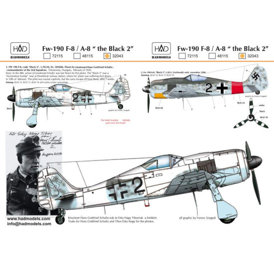 Had Models 32043 1/32 Decal For Fw-190 F-8 Black 2 Accessoreis Fo Aircraft