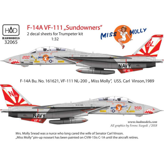 Had Models 32065 1/32 Decal For F-14a Miss Molly Double Accessories Aor Aircraft