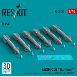 Reskit Rs48-0463 1/48 Aasm 250 Hammer Thermally Protected Bombs 6 Pcs Mirage 2000 Rafale Mig29 3d Printed