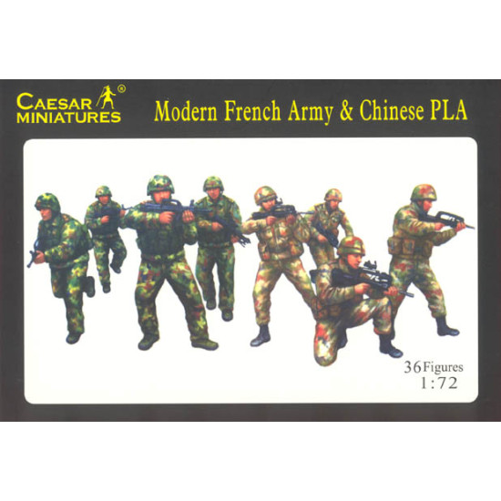 Modern French Army with Modern PLA Chinese Army