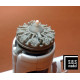 Sbs 72090 1/72 B-17g/Mk Iii Engine Set For Airfix Kit Sbs 72090 1/72 B-17g/Mk Iii Engine Set For Airfix Kit