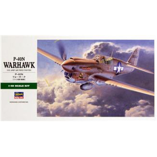 Curtiss P-40 Warhawk 1/48 Hasegawa 09088