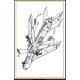 Clear Prop Cpa72187 1/72 Mig-19 Air Brakes For Cp Kits Clear Prop Cpa72187 1/72 Mig-19 Air Brakes For Cp Kits
