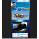 Katran 4870 1/48 Panavia Tornado Gr4/Gr4a Exhaust Nozzles Rb 199-4r Mk103 Varied For Revell/Eduard /For Dioramas/ Katran 4870 1/48 Panavia Tornado Gr4/Gr4a Exhaust Nozzles Rb 199-4r Mk103 Varied For Revell/Eduard /For Dioramas/