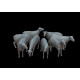 White Stork Miniatures F72061 1/72 Sheep Resin Unassembled Unpainted Kit