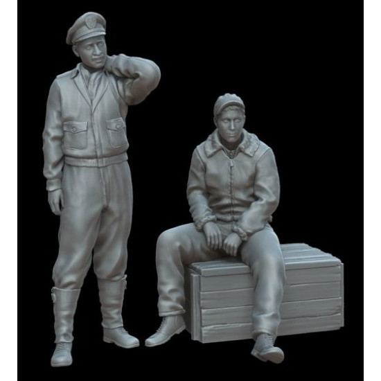 White Stork Miniatures F72148 1/72 U.s.air Force Pilots For Mustang P51 Resin Unassembled Unpainted