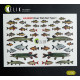 Kelik Ka35001 1/35 River Fish Set Type 1 3d Decal For Dioramas