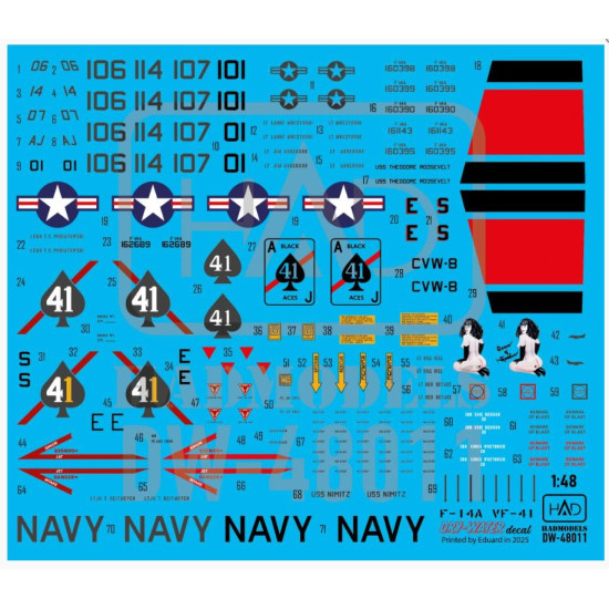 Hadmodels Dw-48011 1/48 F-14a Vf-41 Black Aces Decal Sheet The Final Countdown Dry-water Decal Sheet