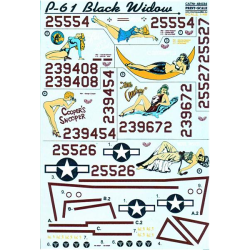 DECAL FOR P-61 BLACK WIDOW PART 1 1/48 PRINT SCALE 48-034