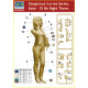 Us Stock Kate - Be Right There Dangerous Curves Series Plastic Model Kit 1/24 Master Box 24026
