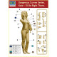 KATE - I'LL BE RIGHT THERE, DANGEROUS CURVES SERIES PLASTIC MODEL KIT 1/24 MASTER BOX 24026