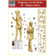 ALI - STATUS CHECK, DANGEROUS CURVES SERIES PLASTIC MODEL KIT 1/24 MASTER BOX 24028