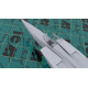 MIG-25 RBF, SOVIET RECONNAISSANCE PLANE MODEL KIT AIRCRAFT 1/48 SCALE ICM 48904