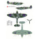 Techmod 48005 1/48 Supermarine Spitfire Mk Vb Polish Aircraft Wet Decal W/Mask