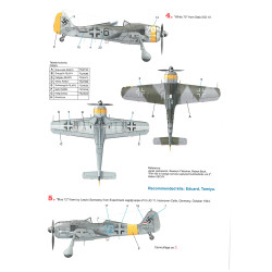 Techmod 48113 1/48 Focke-wulf Fw 190f-8 1944-1945 Aircraft Wet Decal Wwii