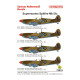 Techmod 72019 1/72 Supermarine Spitfire Mk.ix 1943 N.africa Aircraft Wet Decal Wwii