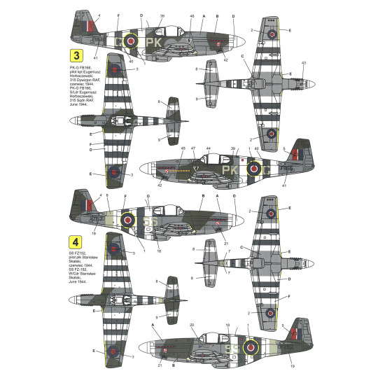 Techmod 72028 1/72 North American P-51 Mustang Iii Polish Aircraft Wet Decal Wwii