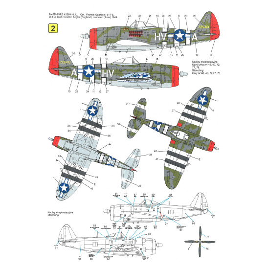 Techmod 72103 1/72 Republic P-47 D/M Thunderbolt 1944-45 Aircraft Wet Decal Wwii