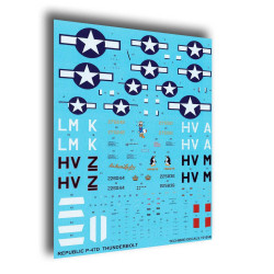 Techmod 72105 1/72 Republic P-47d Thunderbolt Us Fighter Aircraft Wet Decal 1944