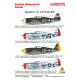 Techmod 72105 1/72 Republic P-47d Thunderbolt Us Fighter Aircraft Wet Decal 1944