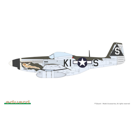 Eduard 70171 1/72 P-51D-5 Mustang Plastic for Aircraft Profipack